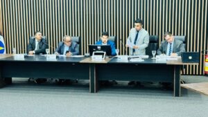 Do Veto ao Projeto Inconstitucional, manifestação popular sem legitimidade
