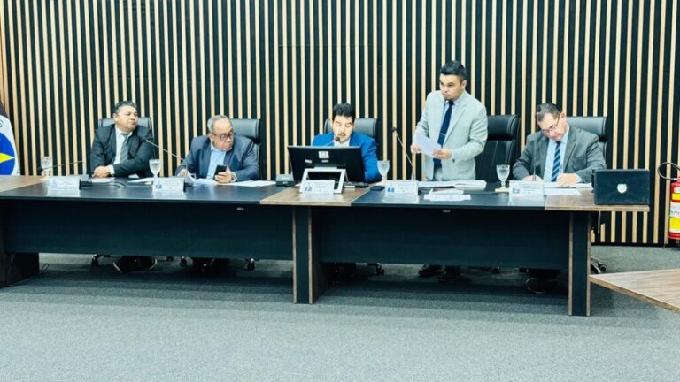 Do Veto ao Projeto Inconstitucional, manifestação popular sem legitimidade