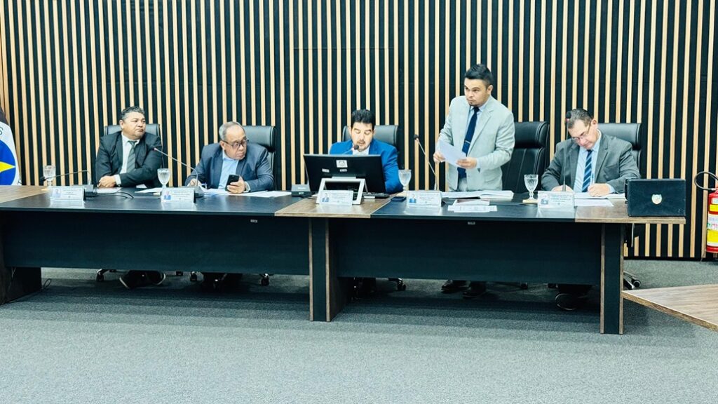 Do Veto ao Projeto Inconstitucional, manifestação popular sem legitimidade