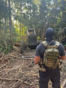 Santarém/PA. A Polícia Federal deflagrou, neste domingo (29/6), uma operação de combate ao desmatamento ilegal no Projeto de Assentamento Chapadão, situado na Gleba Federal Pacoval, zona rural do município de Santarém, no oeste do Pará. A ação resultou no flagrante de uma atividade criminosa de extração ilegal de madeira, com a apreensão de maquinário pesado, armas ambientais e a prisão de quatro indivíduos. Durante a operação, os policiais federais localizaram e apreenderam um veículo do tipo Skidder — equipamento comumente utilizado para arraste de toras em áreas de exploração florestal — além de motosserras, toras de madeira extraída ilegalmente e um caminhão escondido na mata, já carregado com madeira serrada, evidenciando a atuação organizada dos infratores. Os quatro indivíduos encontrados no local foram imediatamente detidos e conduzidos à sede da Delegacia de Polícia Federal de Santarém (DPF/SNM/PA), onde foram autuados em flagrante pelos crimes ambientais e demais ilícitos relacionados à extração e transporte ilegal de produtos florestais. A operação integra os esforços contínuos da Polícia Federal no enfrentamento aos crimes ambientais que assolam a Amazônia Legal, especialmente aqueles relacionados ao uso indevido de terras públicas federais e à destruição de áreas protegidas, como os projetos de assentamento rural. As investigações prosseguem com o objetivo de identificar os financiadores e os eventuais receptadores da madeira extraída ilegalmente. Comunicação Social da Polícia Federal em Santarém/PA