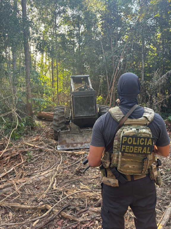 Santarém/PA. A Polícia Federal deflagrou, neste domingo (29/6), uma operação de combate ao desmatamento ilegal no Projeto de Assentamento Chapadão, situado na Gleba Federal Pacoval, zona rural do município de Santarém, no oeste do Pará. A ação resultou no flagrante de uma atividade criminosa de extração ilegal de madeira, com a apreensão de maquinário pesado, armas ambientais e a prisão de quatro indivíduos. Durante a operação, os policiais federais localizaram e apreenderam um veículo do tipo Skidder — equipamento comumente utilizado para arraste de toras em áreas de exploração florestal — além de motosserras, toras de madeira extraída ilegalmente e um caminhão escondido na mata, já carregado com madeira serrada, evidenciando a atuação organizada dos infratores. Os quatro indivíduos encontrados no local foram imediatamente detidos e conduzidos à sede da Delegacia de Polícia Federal de Santarém (DPF/SNM/PA), onde foram autuados em flagrante pelos crimes ambientais e demais ilícitos relacionados à extração e transporte ilegal de produtos florestais. A operação integra os esforços contínuos da Polícia Federal no enfrentamento aos crimes ambientais que assolam a Amazônia Legal, especialmente aqueles relacionados ao uso indevido de terras públicas federais e à destruição de áreas protegidas, como os projetos de assentamento rural. As investigações prosseguem com o objetivo de identificar os financiadores e os eventuais receptadores da madeira extraída ilegalmente. Comunicação Social da Polícia Federal em Santarém/PA