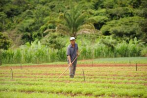 Prefeitura de Canaã dos Carajás abre seleção para entidades comporem o Conselho Municipal de Desenvolvimento Rural
